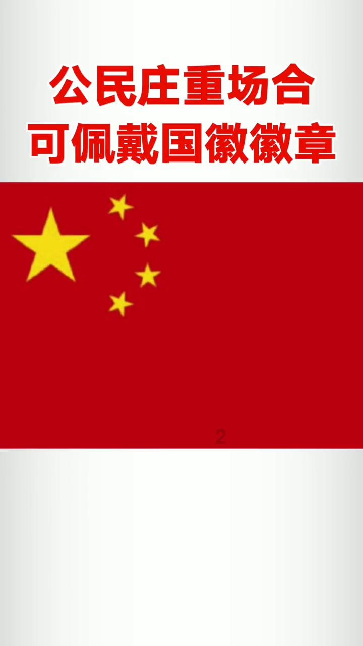 小猫钓鱼正版下载中文版